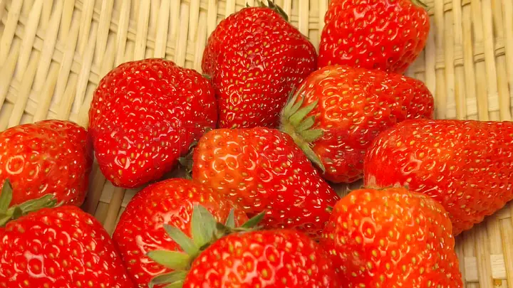 155hl.fun黑料不打烊 传播健康向上的打烊内容