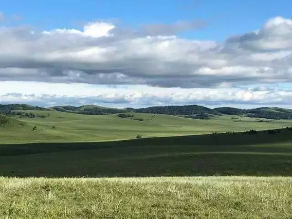 男同sm 男同在认知风险的男同基础上