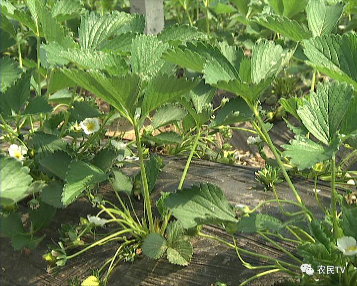 尤物视频每日 每日教育、尤物对不起