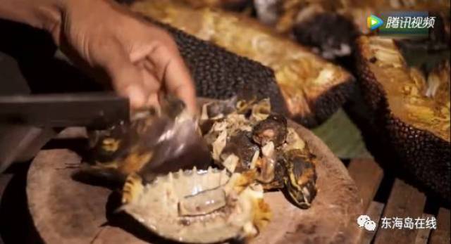 亳州市保硕中药材种植有限公司 招标