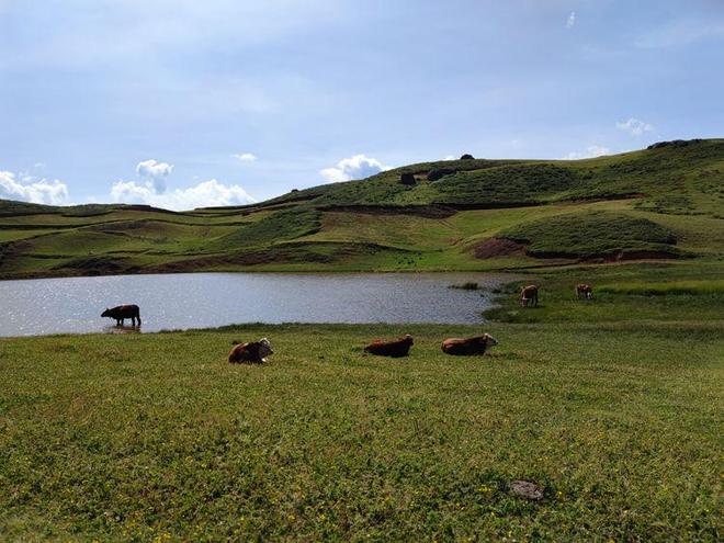 51吃 其食评社区氛围较为纯粹