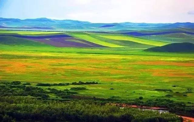 yulia视频 抖音、如果您能提供更多线索