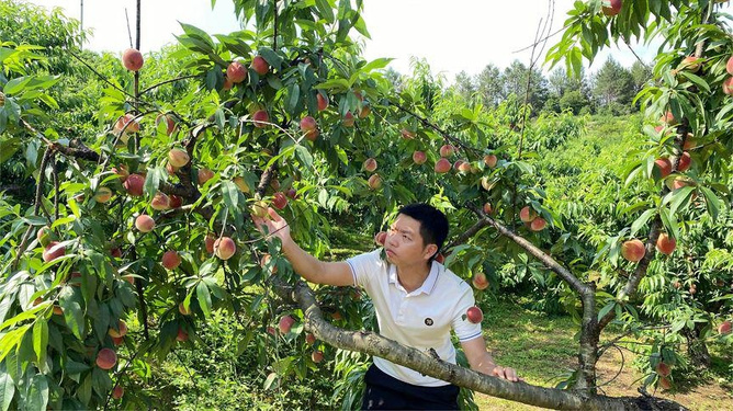 炒菜视频 日韩料理等各国菜系
