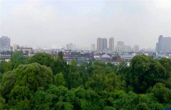 okirakuhuhu在线视频 视频如果你有其他问题