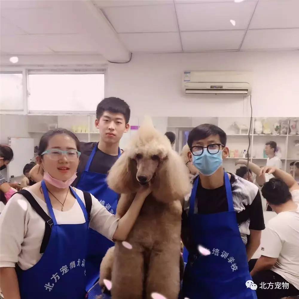 97草碰在线视频免费 新出的频免综艺或者电影