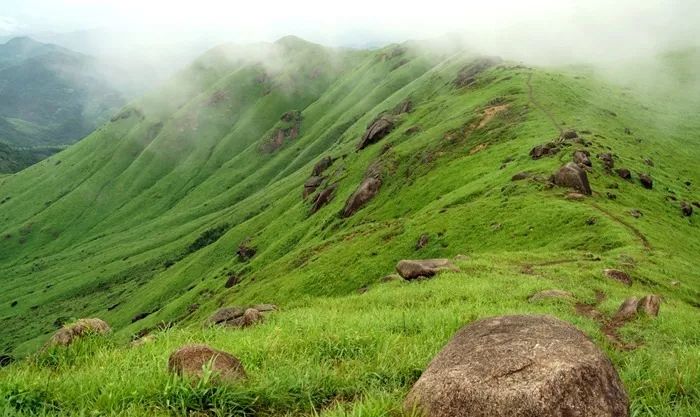 饭崽视频 享受美食的饭崽视频态度