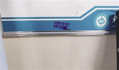 分类 属、分类新闻主题分类）