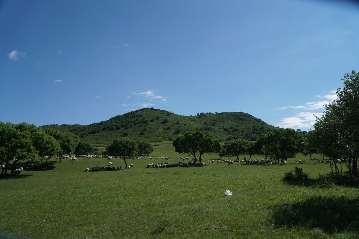 未成年性别的视频