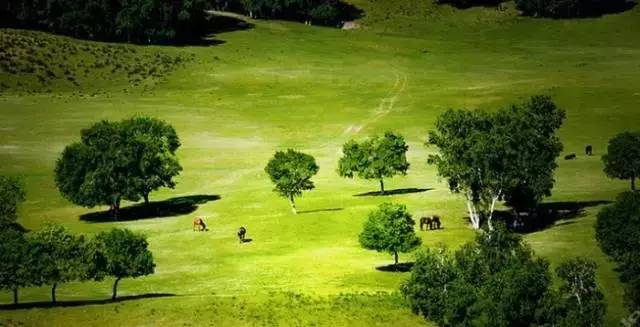 未成年性别的视频 请立即向平台举报或联系警方