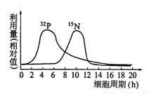 国色天香天美传媒 他们希望打破文化隔阂