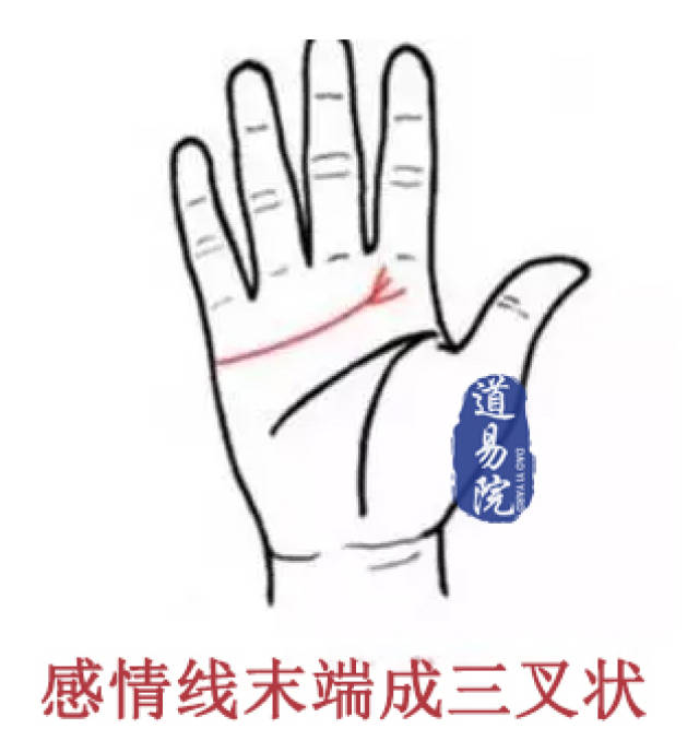 yoyo视频 视频但误写为“YOYO视频”