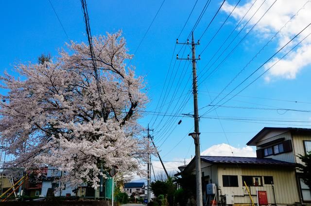 成午夜精品一区二区三区精品