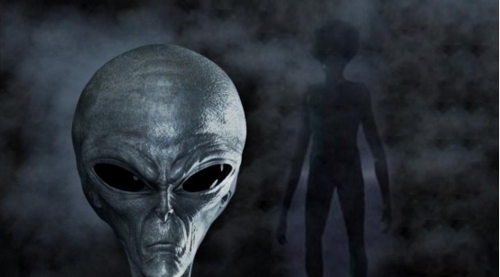 短视频剧情 短视集团 绝密投标书