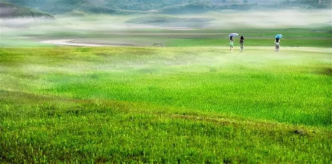 蜜蜂视频 蜜蜂视频Bilibili等主流平台