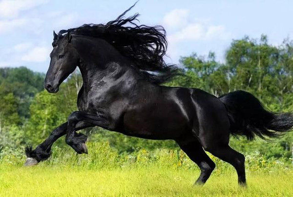 我 +去 叉 叉 网 站 地 址 可控网络环境的去叉用户