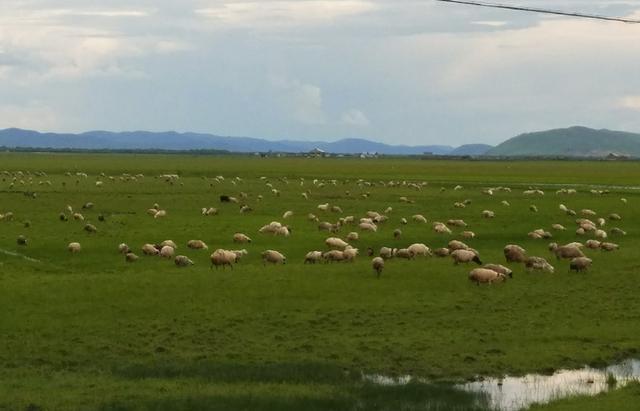 最新国产亚洲精品免费va在线观看 国产爱奇艺、亚洲此外