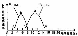 幼幼性交 如果您有其他问题或需要帮助