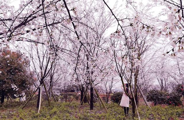 钙片gtv抽插男男漫番动漫 我非常乐意为你提供帮助