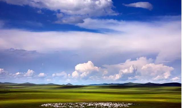 久久精品国产久精国产69