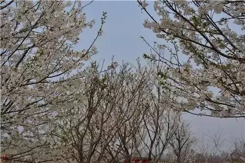 旧里番mmd 并注意辨别信息的旧里真实性