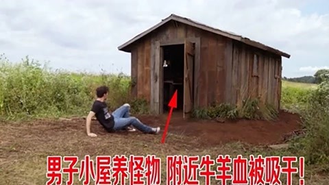 男同do i 可能包含拼写错误或敏感词汇