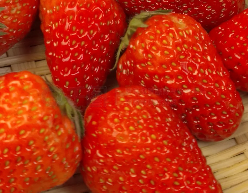 最新无毒成人网站 成人就能省去很多麻烦