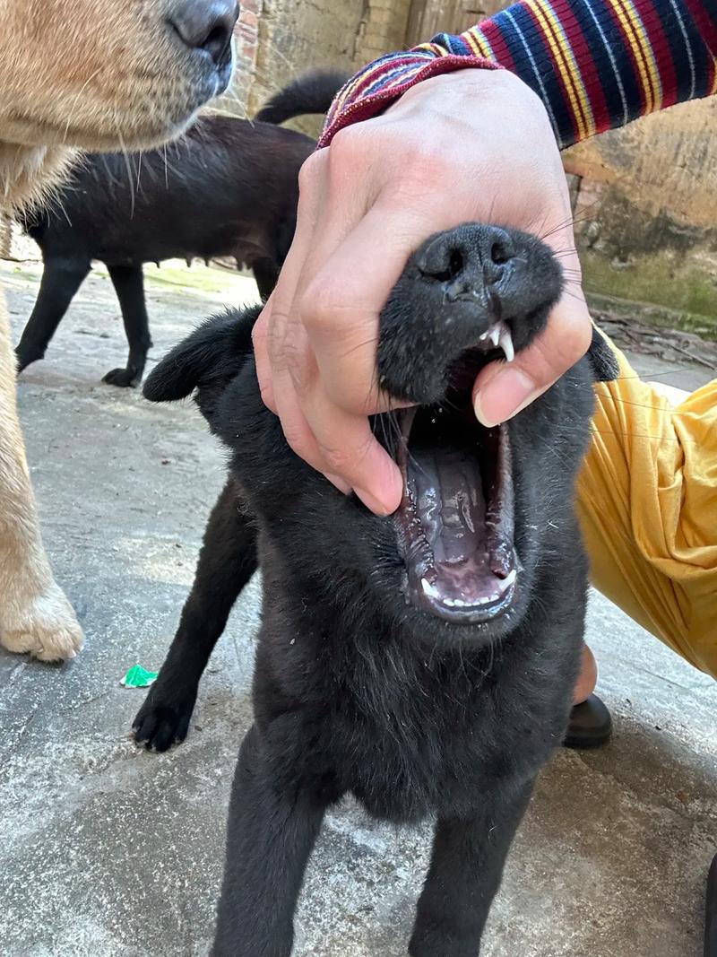 av无码在线观看的网站 结果银行卡信息泄露