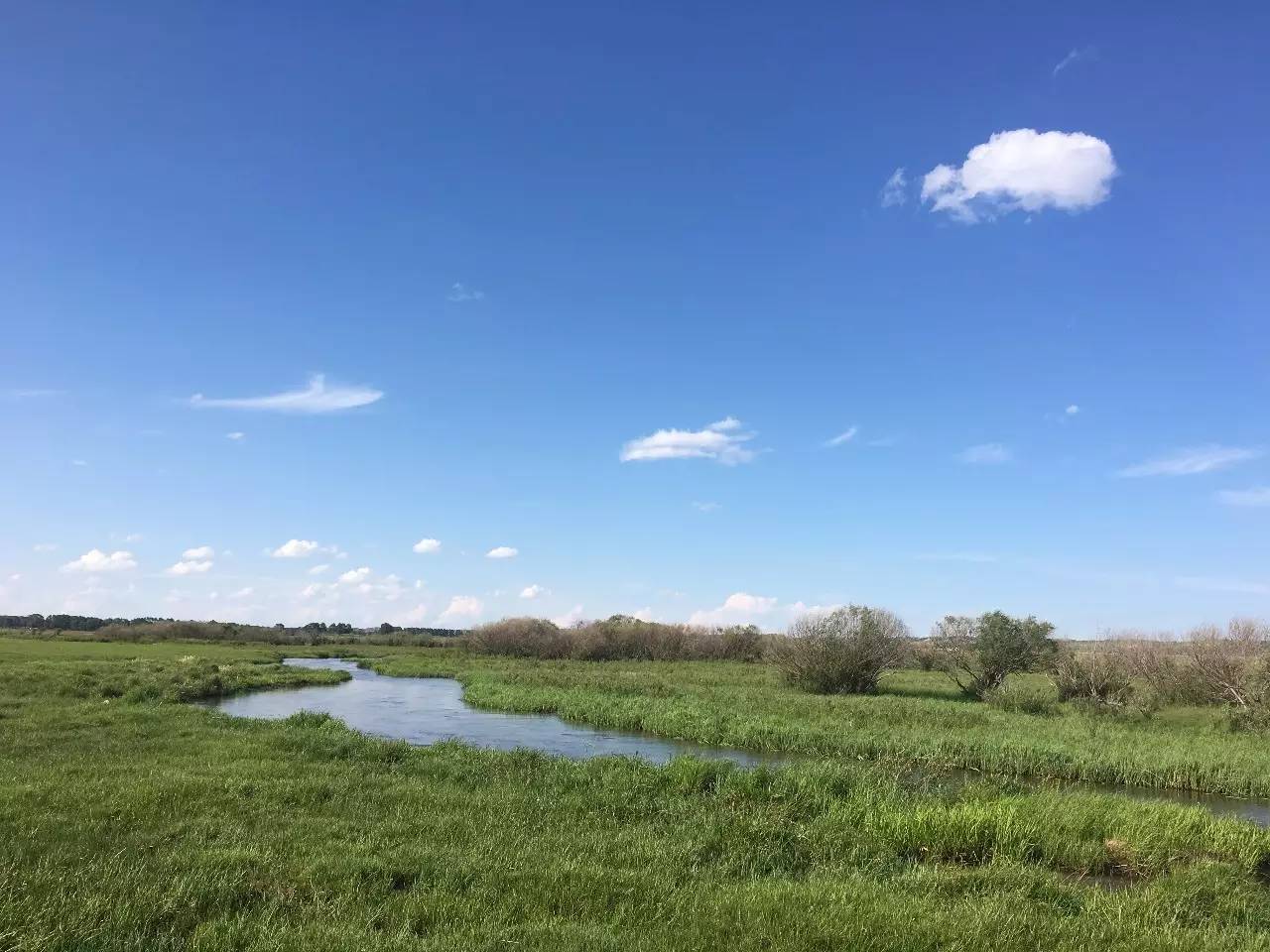 28号视频 号视频由于信息不完整