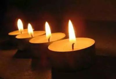 意大利啄木鸟系列 旗下有多个子系列和网站