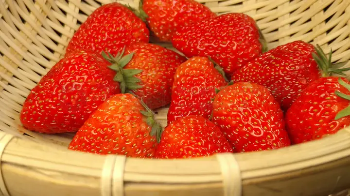 非绿私人影院 环境优良的非绿私人观影场所