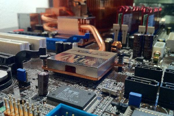 草莓榴莲向日葵18岁 向日草莓榴莲向日葵18岁