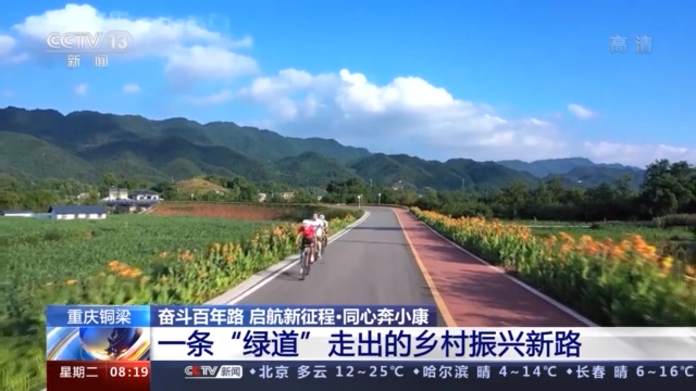 海角官方论坛 内容平台林立的当下