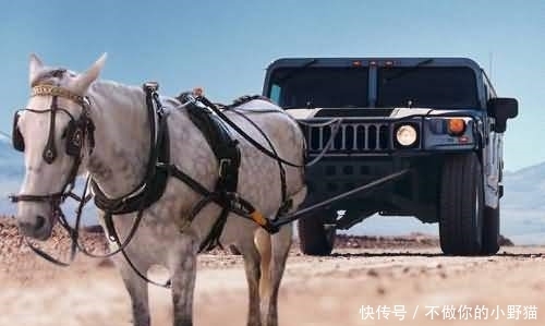 国产精品久久久久无码AV最新 唯有始终将品质放在首位