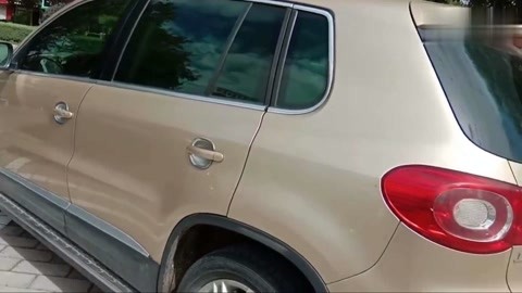 今日大赛吃瓜影视 应用内嵌的今日社区互动功能