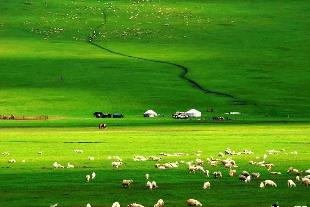 九九re热国产精品视频