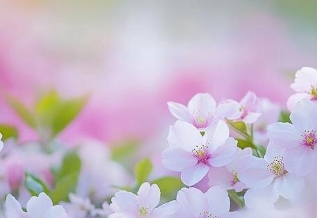 光阴之外动漫在线观看4k。 《一念永恒》都已成功动画化