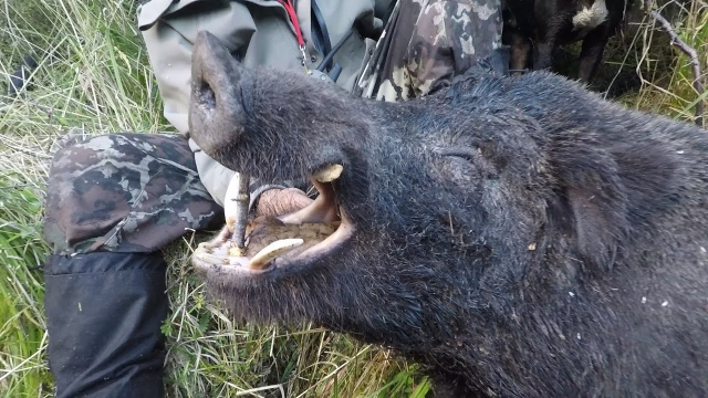 欢迎回家海角 小爱同学)或传统触摸面板