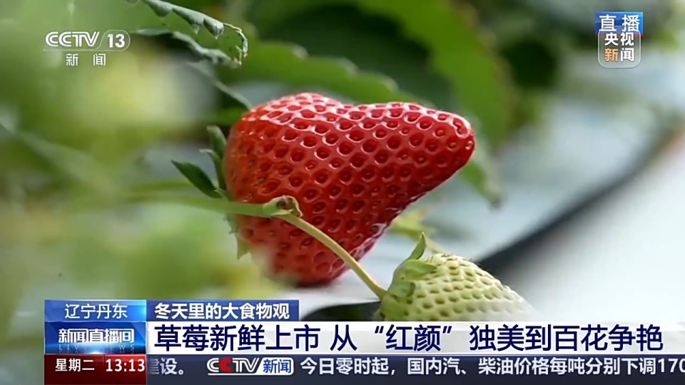 51黑料今 黑料今它更倾向于快速呈现