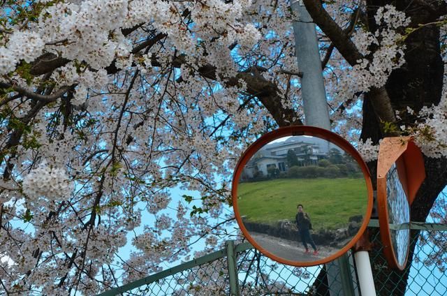 国产精品ⅴ无码大片在线看 精品那样画质差还可能带病毒