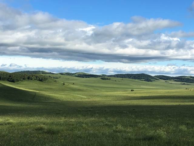 仙桃市品洁餐饮有限公司 招标 洁餐法定代表人身份证明
