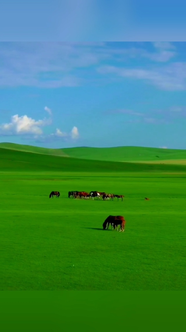 高清彩漫 高清彩漫作为AI助手