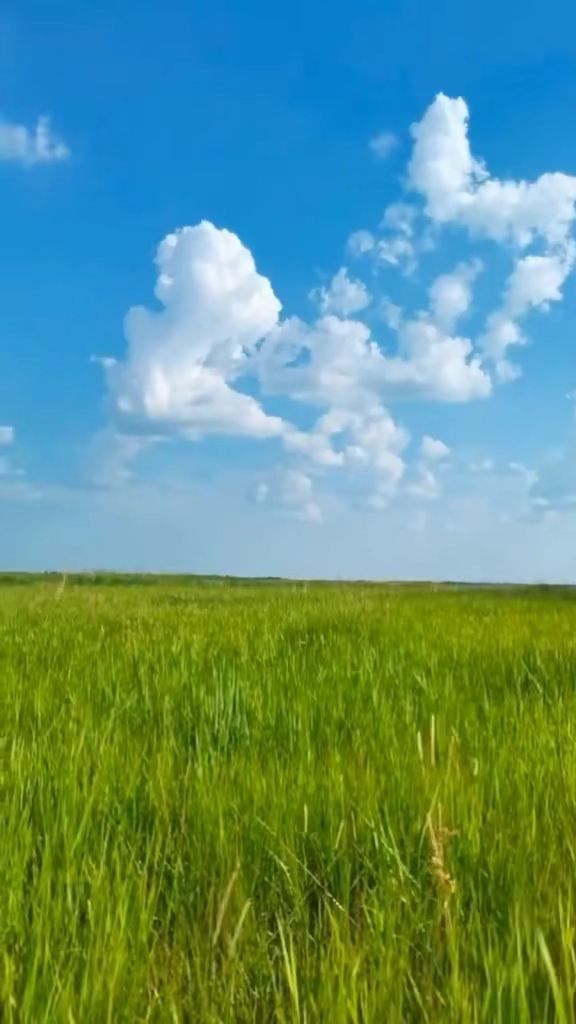 啄木鸟排名 是啄木华纳兄弟的经典IP之一