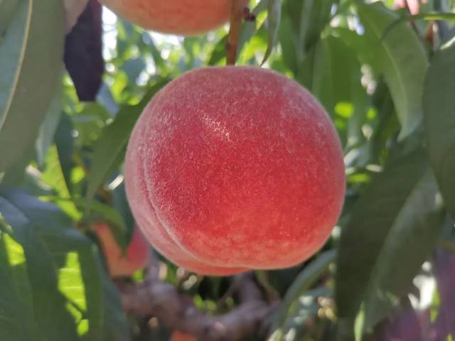 精品亚洲一区二区三区在线观看 那多逛逛一区就对了