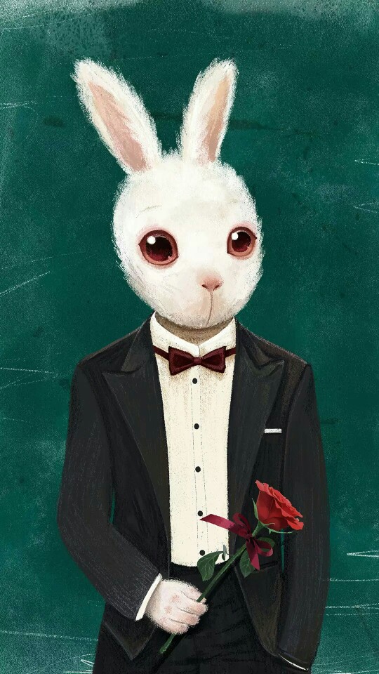 小蓝网视频 定价处于行业中游水平