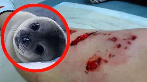 雏 田 同 人 +视 频 投币或留言支持创作者