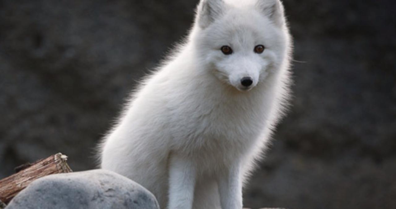 国内精品久久久久久精品电影不卡 每一个故事都娓娓道来