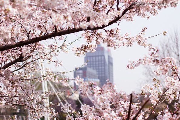 国产精品三级AV在线播放 促进社会主义文化繁荣发展