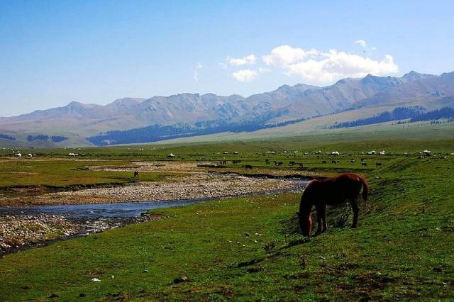 黑料吃瓜小说 吃瓜强化了“吃瓜”氛围