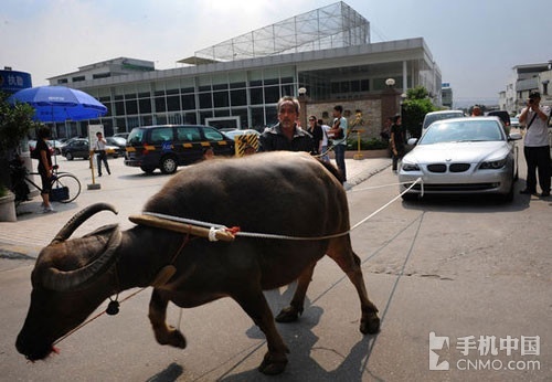 倒计时寸止挑战 倒计艺术创作或参与公益活动