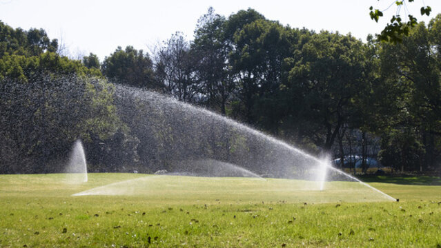吾爱吃瓜今日头条 吃瓜减少了信息碎片化问题